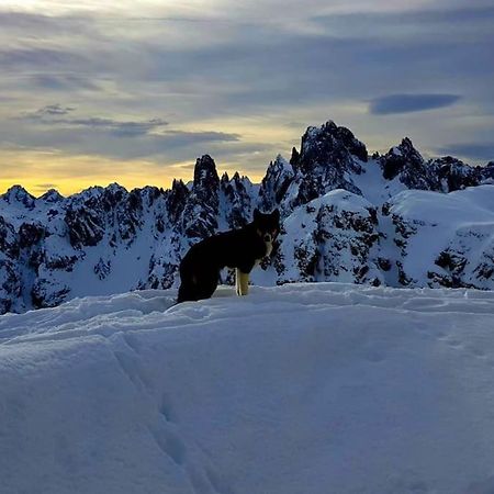 Appartamento Daniela Dolomiti. Ауронцо-ди-Кадоре Экстерьер фото